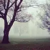 DawnLord7181 - @dawnlord7181 - TikTok