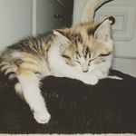 Hayley Dawn Lord - @hayleylord2000 - Instagram