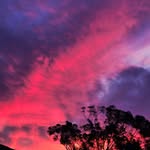 Dawn Lowrie - @dawny_lowrie84 - Instagram