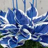 Dawn Lowrie - @dawn.lowrie - TikTok