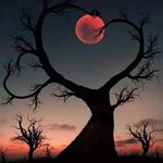 Dawn L Lozada - @dlblackfaerie81 - Instagram