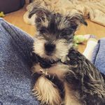 Dawn Lucas - @dawn.lucas - Instagram
