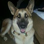 Dawn Griffin-Luce - @dlboo62 - Instagram