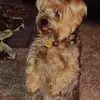 dawngriffinluce - @dawngriffinluce - TikTok