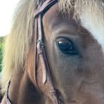 Dawn - @dawnmack10 - Instagram