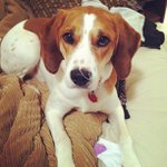 Dawn Mack - @jiggygrantintincr - Instagram