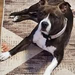 Dawn Mack - @dawnmack599 - Instagram