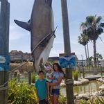 Dawn Mackey - @mackeysmadhouse - Instagram