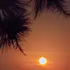 Dawn Mackey 64 - @dawn.mackey.64 - TikTok
