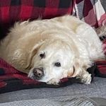 Dawn Mackey Wood - @dawnwood1972 - Instagram