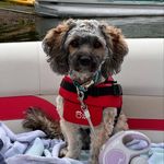 Dawn Mackinnon - @dawn62mac - Instagram