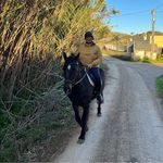 Dawn Major - @dawnymaj59 - Instagram