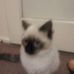 Dawn Major - Facebook