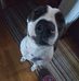 Dawn Hagan Manning - Facebook