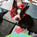 Dawn Manning - @dawnmanning21 - Instagram