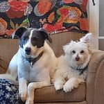 Dawn Manning - @bckdawnmanning - Instagram