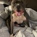 Dawn Manuel - Facebook