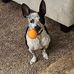 Dawn Marbury Johanningsmeier - Facebook