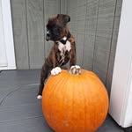 Dawn Marion - @dawnmarionmolly - Instagram