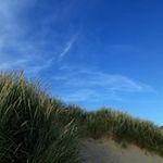 Dawn Marion Buckley - @dawnmarionbuckl - Instagram