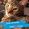 Dawn Marie Markle - @user214176731 - TikTok