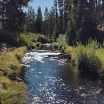Dawn Marie Markley - @markleydawn - Instagram