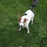 Dawn Markley - @dawn_markley - Instagram