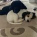 Dawn Marr - Facebook