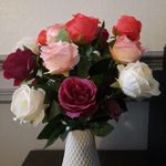 Dawn Martindale - @dawnmartindale21 - Instagram