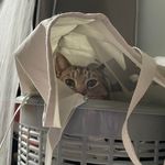 Dawn Martindale - @dawn.martindale.73 - Instagram