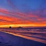Dawn Trent Martindale - @martindaled - Instagram