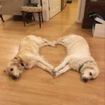 dawnmartindale59 - @dawn.m59 - Instagram