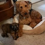 Dawn Maynard - @peanutbutter_and_wheatbread - Instagram