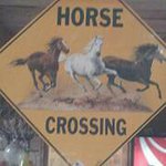 Dawn Maynard Stovall - @cowgirlthatsme - Instagram