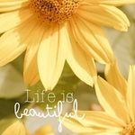 Dawn E. McCain - @dawne.mccain - Instagram