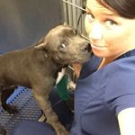 Dawn McCall - @bblkbettyblamalam - Instagram