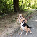 Dawn Schmotzer McCann - @dawn.s.mccann - Instagram