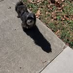 Dawn McCormick - @dawn.mccormick3 - Instagram