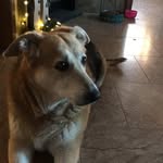 Hillary - @hillary.dawn.mccray2019 - Instagram