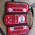 Dawn Hutchins McDaniel - @generallee01servicedog - Instagram