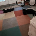 Dawn McDaniel - @dawn.mcdaniel.1272 - Instagram