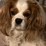 Dawn McDaniel-Smith - @dawnmcdanielsmith - Instagram