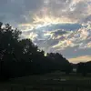 dawnmcdanielscogg - @dawn.mcdaniel.sco - TikTok