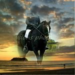 Dawn Grant Mcgregor - @dawn.mcgregor.1232 - Instagram