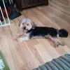 Dawn Mcgregor - @dawn.mcgregor - TikTok