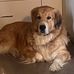 Dawn McGregor - Facebook