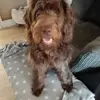 Dawn McGregor - @dawn.mcgregor5 - TikTok
