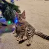 Dawn McGregor - @dawn.mcgregor23 - TikTok