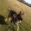 Dawn Mclaughlin - @dawn.mclaughlin3 - TikTok