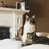 dawnmclaughlin - @dawnmclaughlin0 - TikTok
